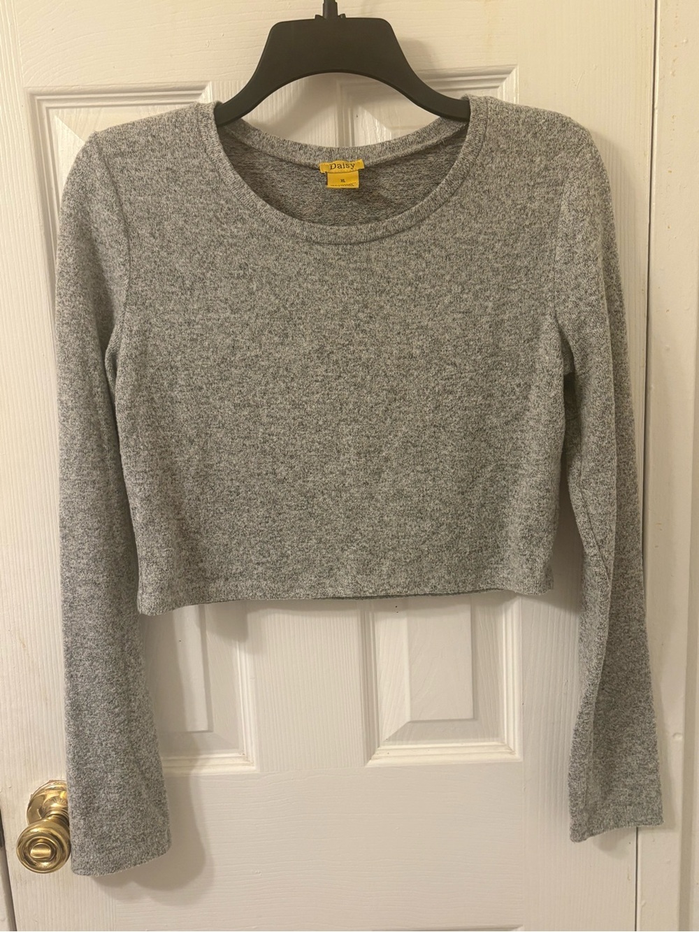 Daisy Gray Cropped Long Sleeve Knit Top